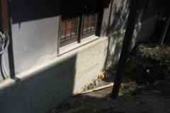 loft_10-1-min